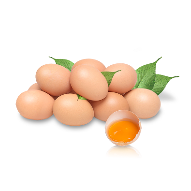 01 (1).png