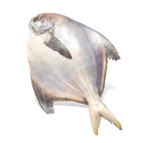 597805b8571db.png