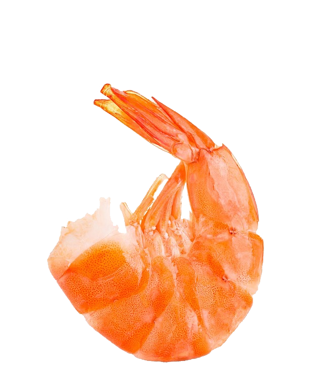 5a04476900cb7.png